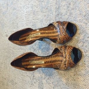 Alligator print Manolo Blanik